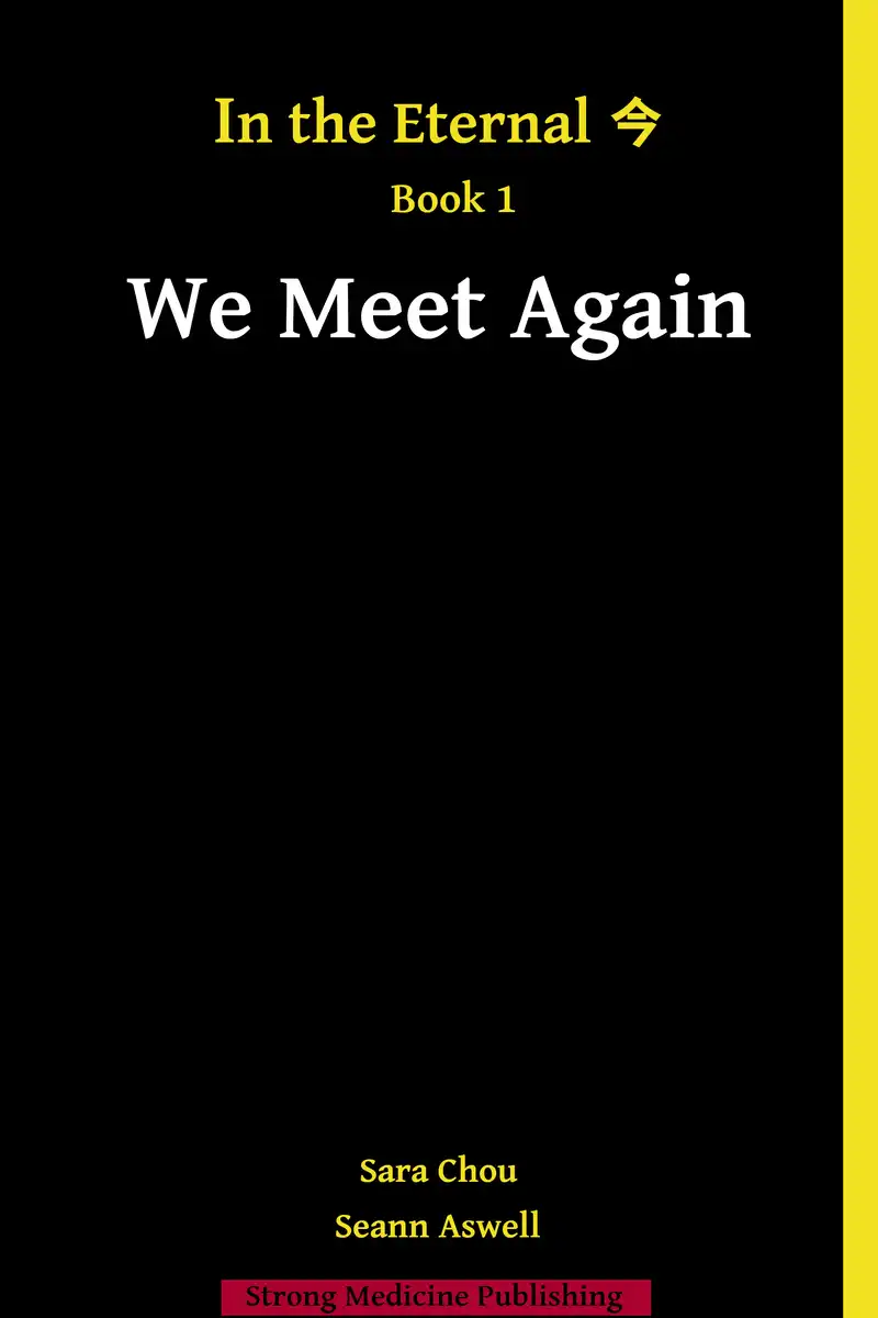 We Meet Again - Cover