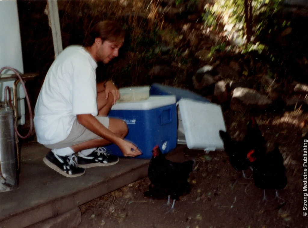 Feeding Chickens