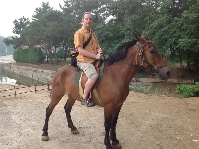 Seann's Horse