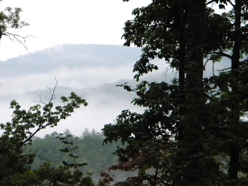 Morning Mist