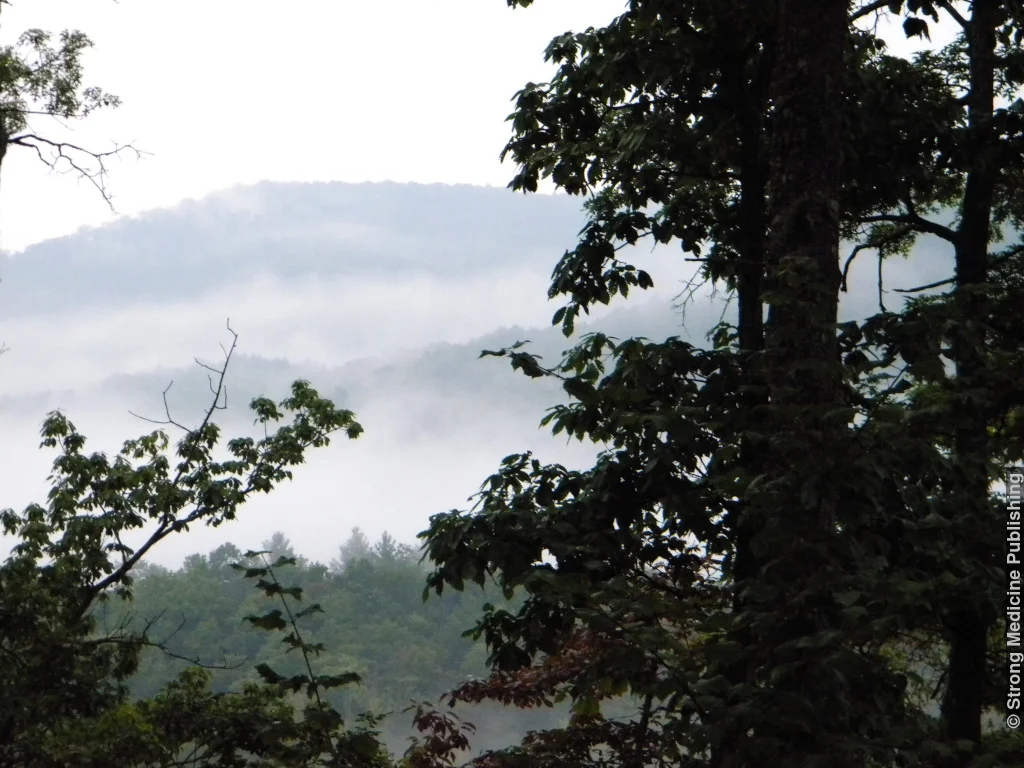 Morning Mist