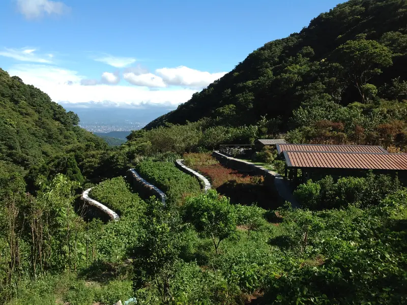 Yangmingshan View