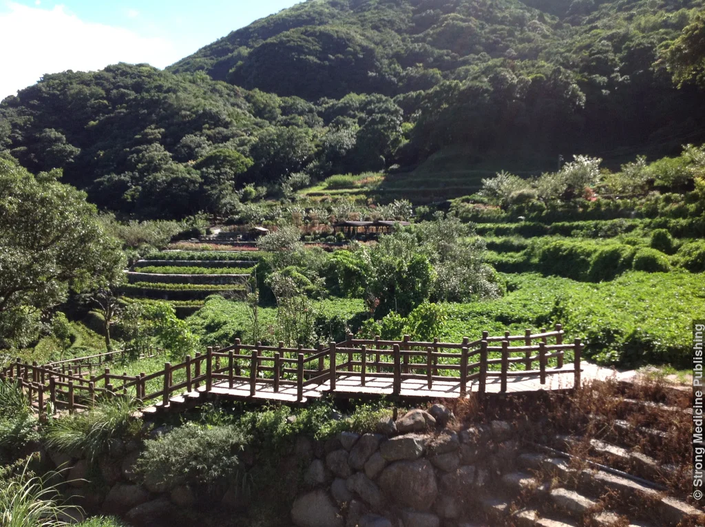 Yangmingshan