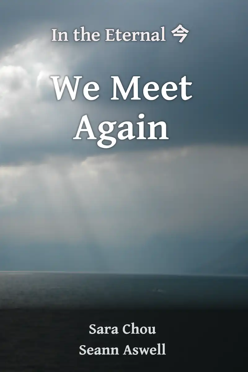 We Meet Again - Cover