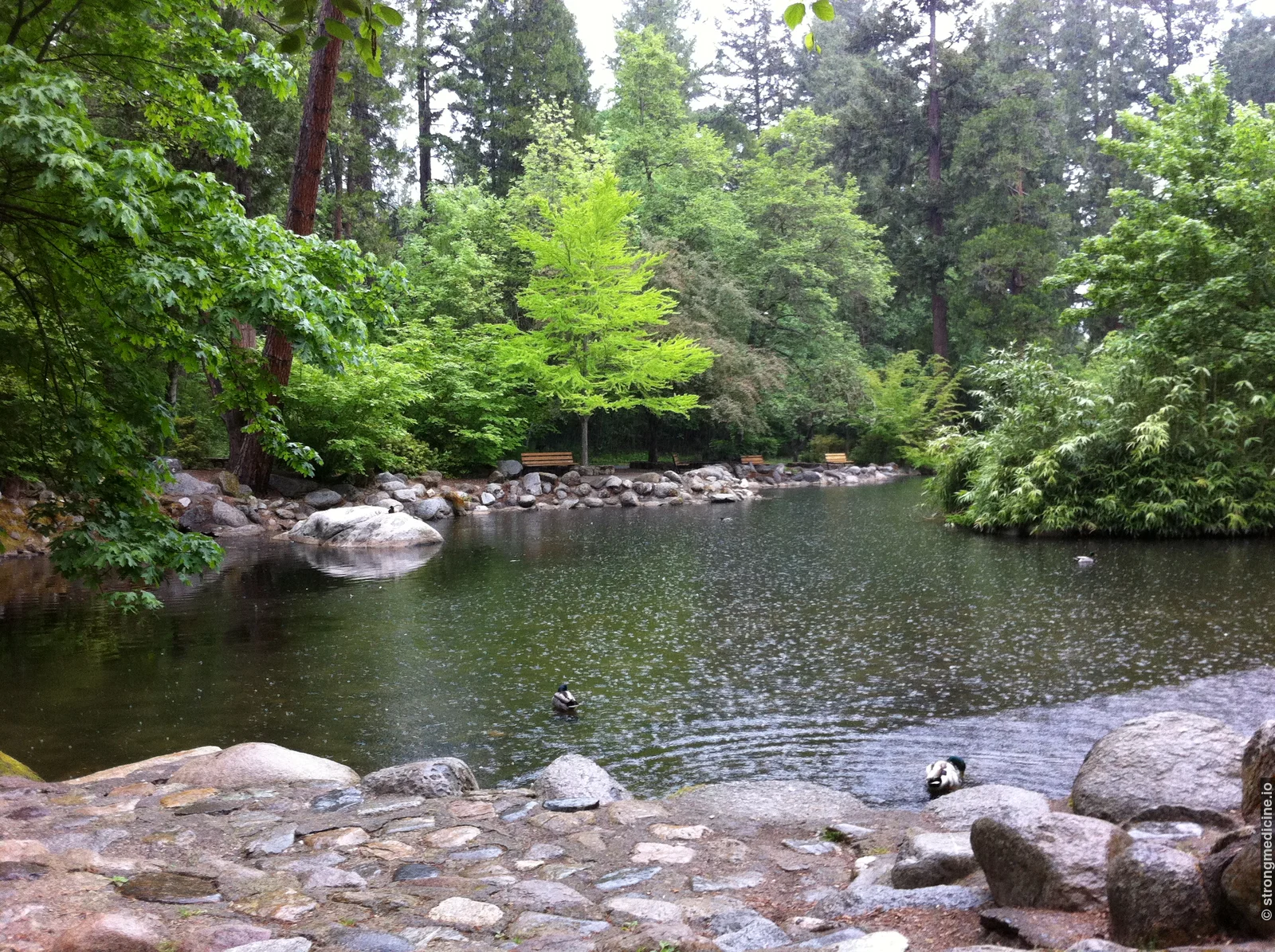 Lithia Park